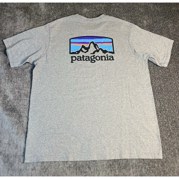 Patagonia Graphic T Shirt Mens Medium M Gray Logo Short Sleeve - Picture 1 of 6